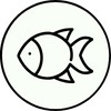 Balık